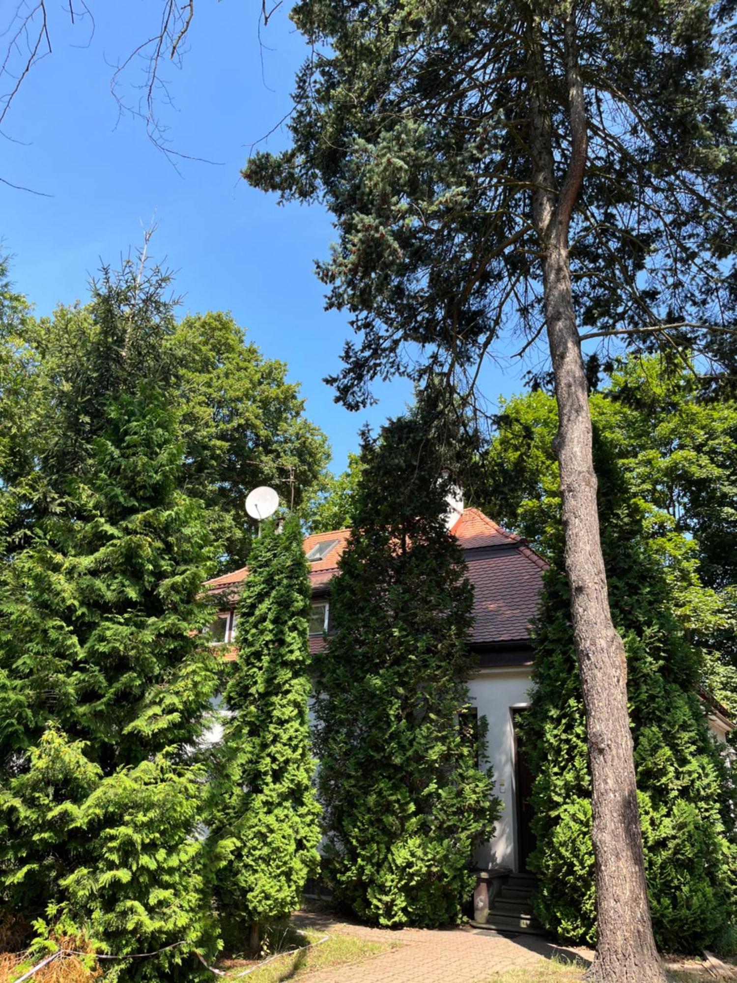 Dedek Park - Historyczny Dworek W Pieknym Parku Skaryszewskim Obok Stadionu Narodowego Varšava Exteriér fotografie